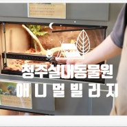 비올때 아기와 갈만한 곳(feat.청주 실내동물원 애니멀빌리지)