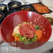 경주 점심특선 이동간받이 경주용황점 든든한 육회비빔밥 육회물회