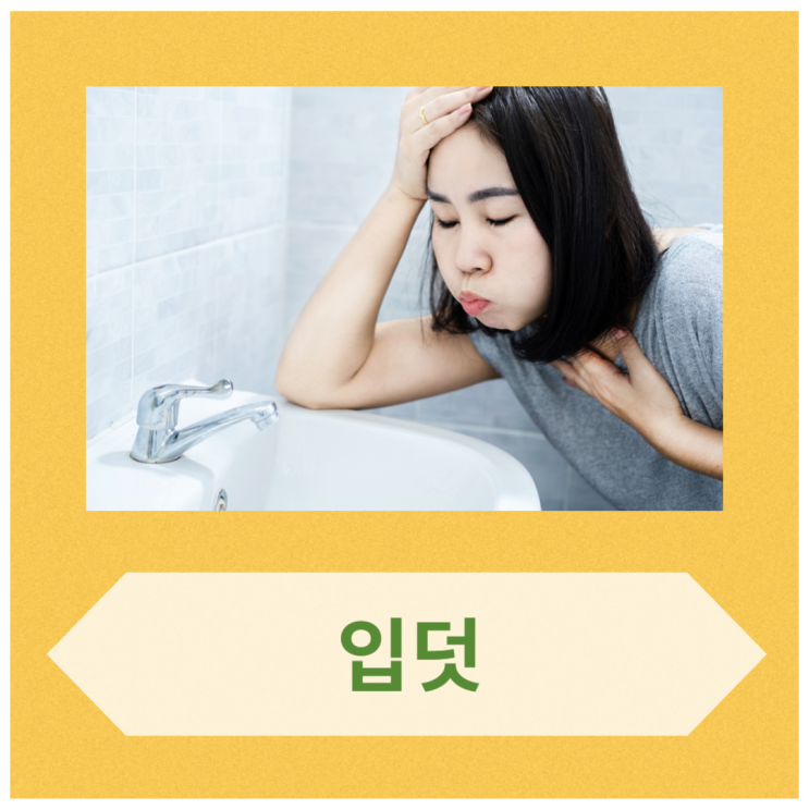 입덧시작시기 임신초기입덧 증상, 이유 / 입덧심할때 입덧완화방법 입덧완화음식 : 네이버 블로그