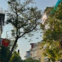 베트남 하노이 3박 5일 - 1일차②(하노이펍추천/The Balcony/하노이갤러리/하노이시장구경/하노이골목구경/후기)
