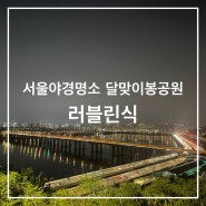 서울 야경 명소 서울 해돚이 명소로도 유명한 달맞이봉공원 야경(+주차)