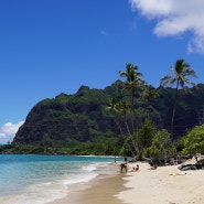 하와이여행 🌈 카아아바 비치 (오아후 83번국도에서 만나는 엄지척 비치)