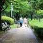 구리 장자호수공원(장자못) = 산책하며 꽃구경하기 좋은 공원.