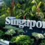 싱가포르:: 입국심사, SG 카드 작성법 정리