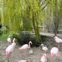 프라하 | 여행 7일차 Prague Zoo에서의 낭낭한 하루