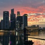 [싱가포르 여행] Day3. 스카이파크 요가, 래플스 호텔 애프터눈티, 스펙트라 레이저쇼