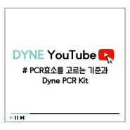 [다인실험실] PCR효소를 고르는 기준과 Dyne PCR Kit