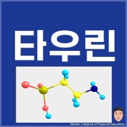 타우린 효능, 효과, 부작용, 섭취방법 Taurine 먹는 법 타우린과 근육