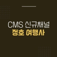 WINGS CMS 신규 채널 연동 소식 [정호여행사]