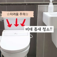화장실 변기 비데 청소하는 방법(feat. 다이소 청소 틈새 솔 )