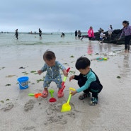 아기랑 제주여행1(협재해변, 제주 ES리조트, 국립제주박물관, 짐바란비치, 서귀포매일올레시장)