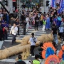 울산 중구 2023 태화강 마두희축제 울산전통축제 큰줄당기기