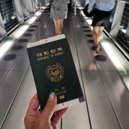 방콕 공항 샌딩 서비스(feat.몽키트래블) 후기 & 출국, 방콕 안녕!