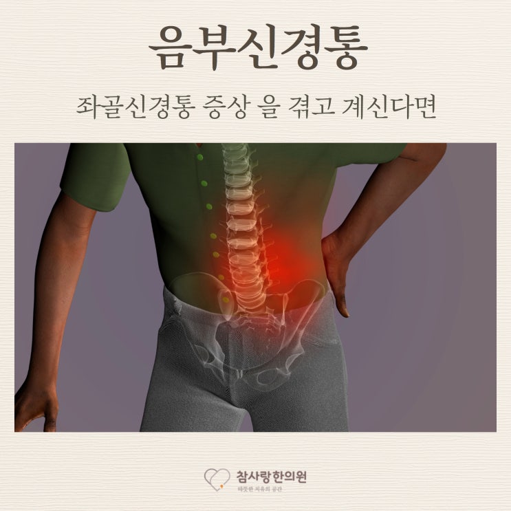 음부신경통 좌골신경통 증상 을 겪고 계신다면 : 네이버 블로그