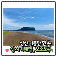 제주동쪽여행코스 성산 광치기해변, 오조포구, 제주도민 추천 맛집 자연으로