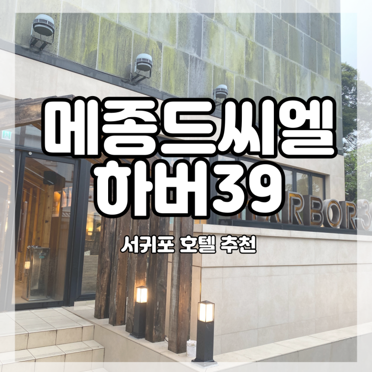 제주 서귀포 여행 | 메종드씨엘 하버39 | 서귀포 호텔 추천