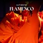 어센틱 플라멩코 AUTHENTIC FLAMENCO_서울, 대구, 부산, 광주 공연 안내 (공연장 주소, 일정 등) 무용수 파울라 로드리게스