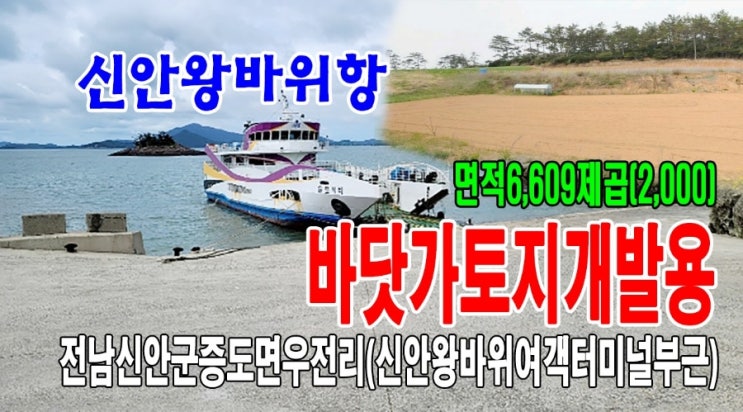 전남 신안군 증도면 우전리(신안왕바위항여객터미널입구)야산 임야와 답 계획관리지역 도로접6,609제곱(2,000)매매~ : 네이버 블로그