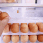 계란보관함30구, 쌓지말고 편리하게 보관하고 꺼내는 계란넣게