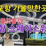 포항 가볼만한곳/심장 쫄깃쫄깃! 포항 스페이스워크! 야경은 덤!