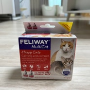Feliway Multicat 펠리웨이 멀티캣 고양이 합사 페로몬 디퓨저 모코아 훈증기 사용법 소음 리뷰