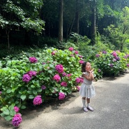 김수아블로그, 육아로그 ,5살 언니의 공주병