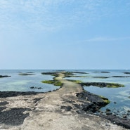 제주동쪽가볼만한곳 김녕바닷길