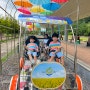 [전남 나주] 영산포 철도공원에서 아이들과 레일바이크