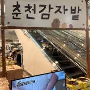 춘천감자밭 감자빵 옥수수빵 보관방법 가격 청량리역 롯데백화점 팝업스토어