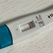 [임신 일기 09] 3주 3일차에 보인 임테기 두 줄