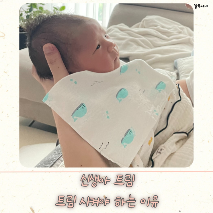 신생아 트림 시켜야 하는 이유와 트름 잘 나오게 하는 자세 방법 : 네이버 블로그