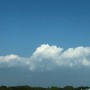플로리다 | 삼층에서 구름과 눈을 맞추다 | 병원살이 | Mease Countryside Hospital