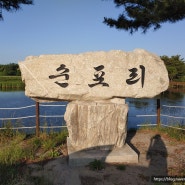 2023년 7월 최근 다녀본 강릉 낚시 포인트 서프탐사