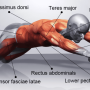 ab 슬라이드(AB슬라이더)효과, 롤아웃, 사용 방법, 부상 방지 방법, 복근 코어 운동