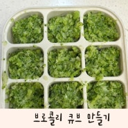 브로콜리 큐브 이유식야채 큐브 만들기