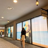 여자슬랙스 여름 슬랙스 로잉 의류쇼핑몰 가성비 굿 !