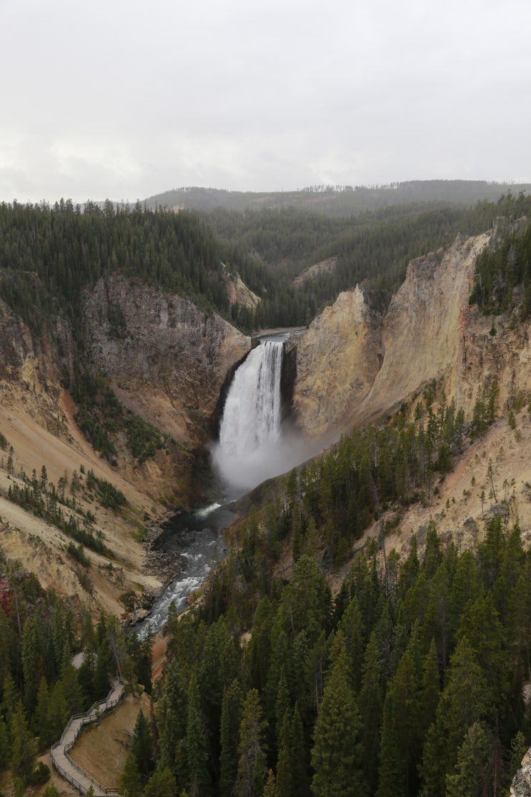 [캐나다/미국] 22. 옐로스톤(Yellowstone) - Grand Canyon of the Yellowstone River ...