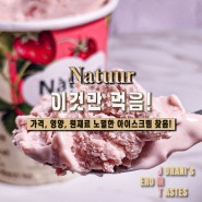 나뚜루 딸기 파인트 영양정보 맛 리뷰
