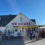 세인트루이스 여행, 아이스크림 맛집 TED DREWES Frozen Custard