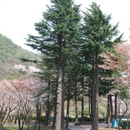 경남 양산시 법기수원지 카페,식당 및 전원주택자리 토지매매 합니다.(주인직거래)