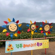 다시 가 본 강주 해바라기축제