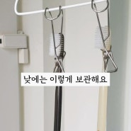자연광으로 칫솔 소독하기 (feat. 다이소 필수템 고리집게)