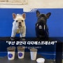 부산 광안리 타타에스프레소바 김순대랑 애견 동반한 우리 위주 후기