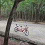 웨딩스냅 찍었던 서울숲에서 데이트 및 자전거 대여 후기
