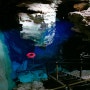 브라질 바이야주 Chapada diamantina 동굴 수영 Poco Azul