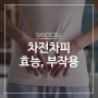 차전차피 효능, 부작용, 잘 고르는 꿀팁