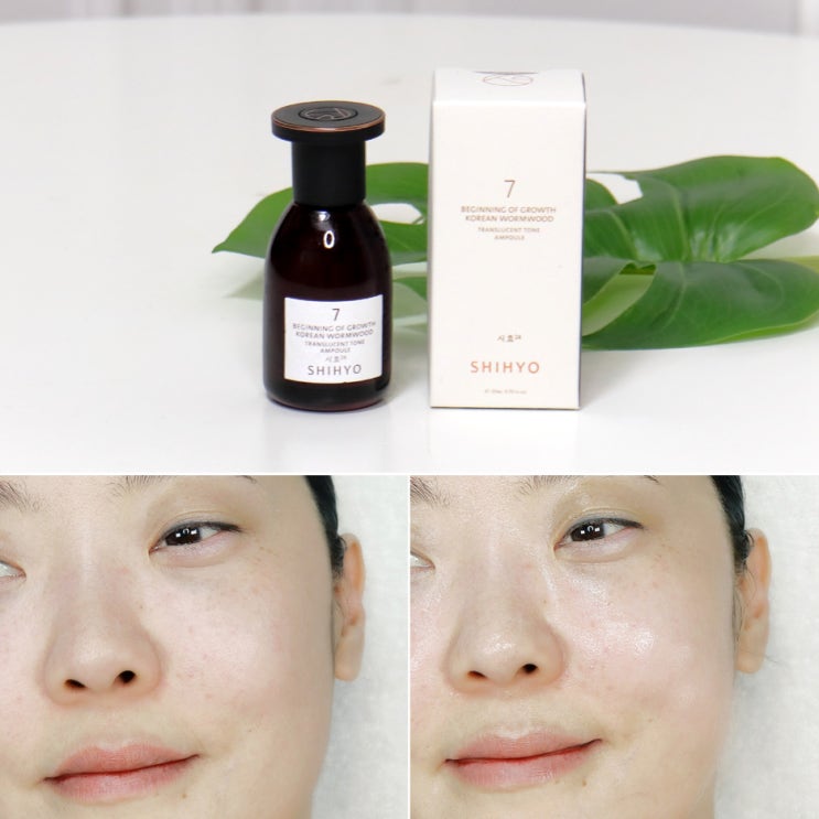 SHIHYO 시효화장품 쑥잎톤앰플 피부톤케어 후기 : 네이버 블로그