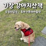 부산강아지산책 기장오랑대공원/동부산롯데아울렛