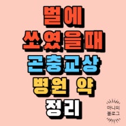 벌에 쏘였을 때 말벌에 쏘였을 때 곤충 교상 응급처치 약 병원 정리