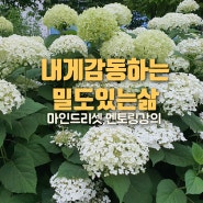 마인드 리셋, 멘토링강의 1 :: 나에게 감동하는 밀도있는 삶